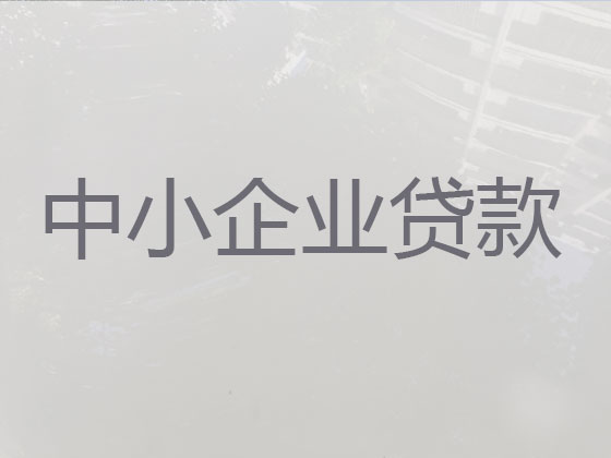 安庆企业银行信用贷款